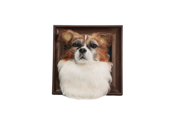 Custom 3D Wool Felt Dog Portrait – Head Only | LumoPaws
