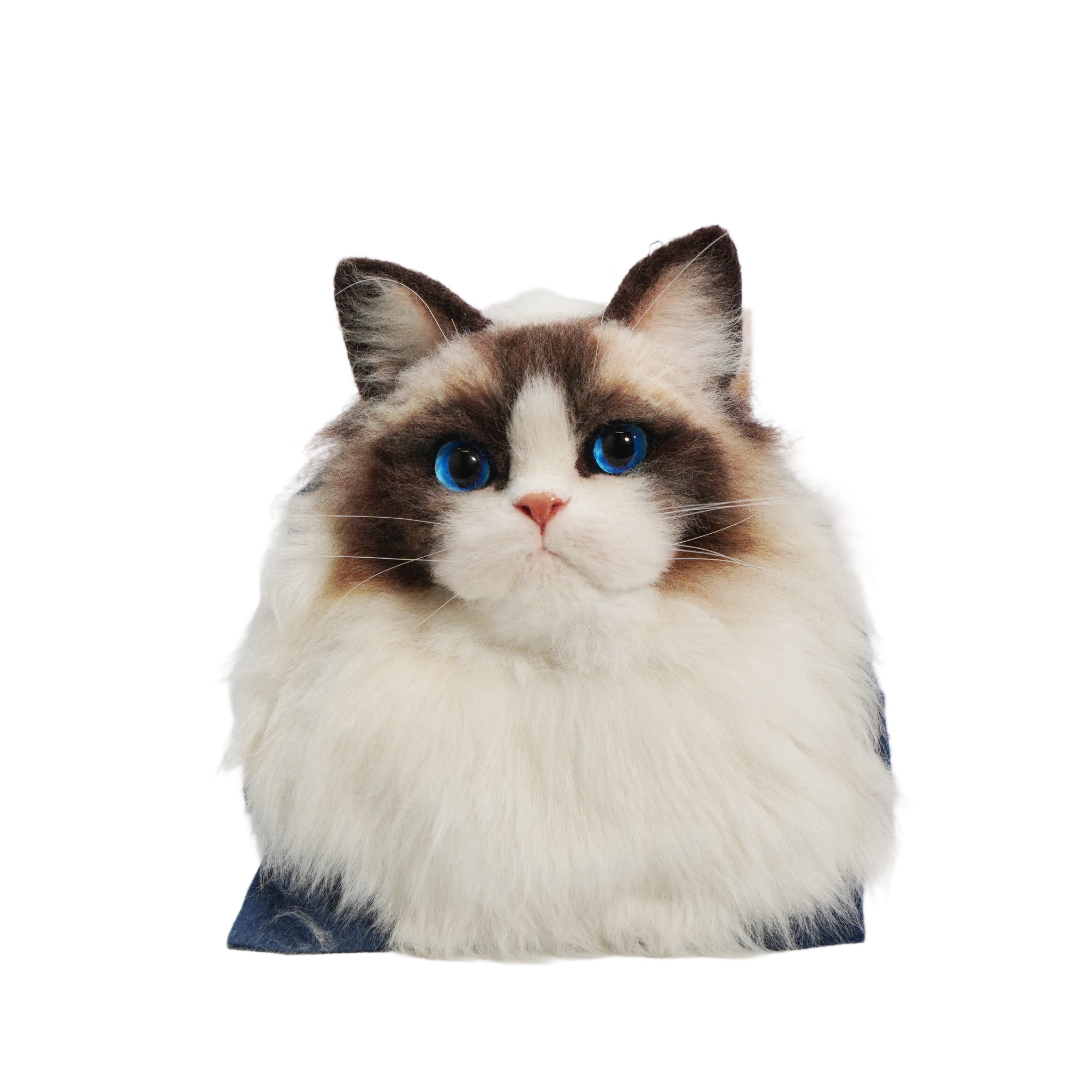 Custom 3D Wool Felt Cat Portrait – Head Only | LumoPaws