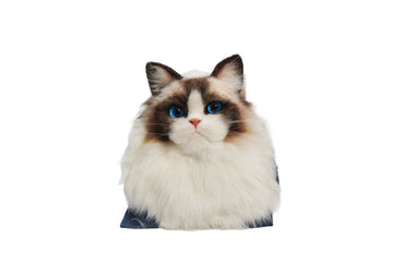 Custom 3D Wool Felt Cat Portrait – Head Only | LumoPaws