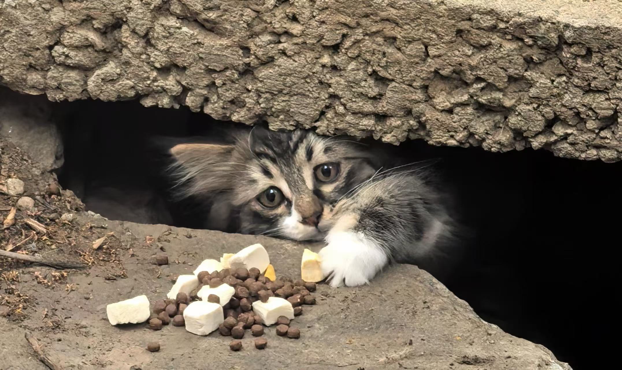 slider image slider_item_7GjrwR