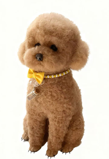 Custom Nearly Life-Size 3D Wool-Felt Pet Sculpture – Full Body Cats & Dogs | LumoPaws