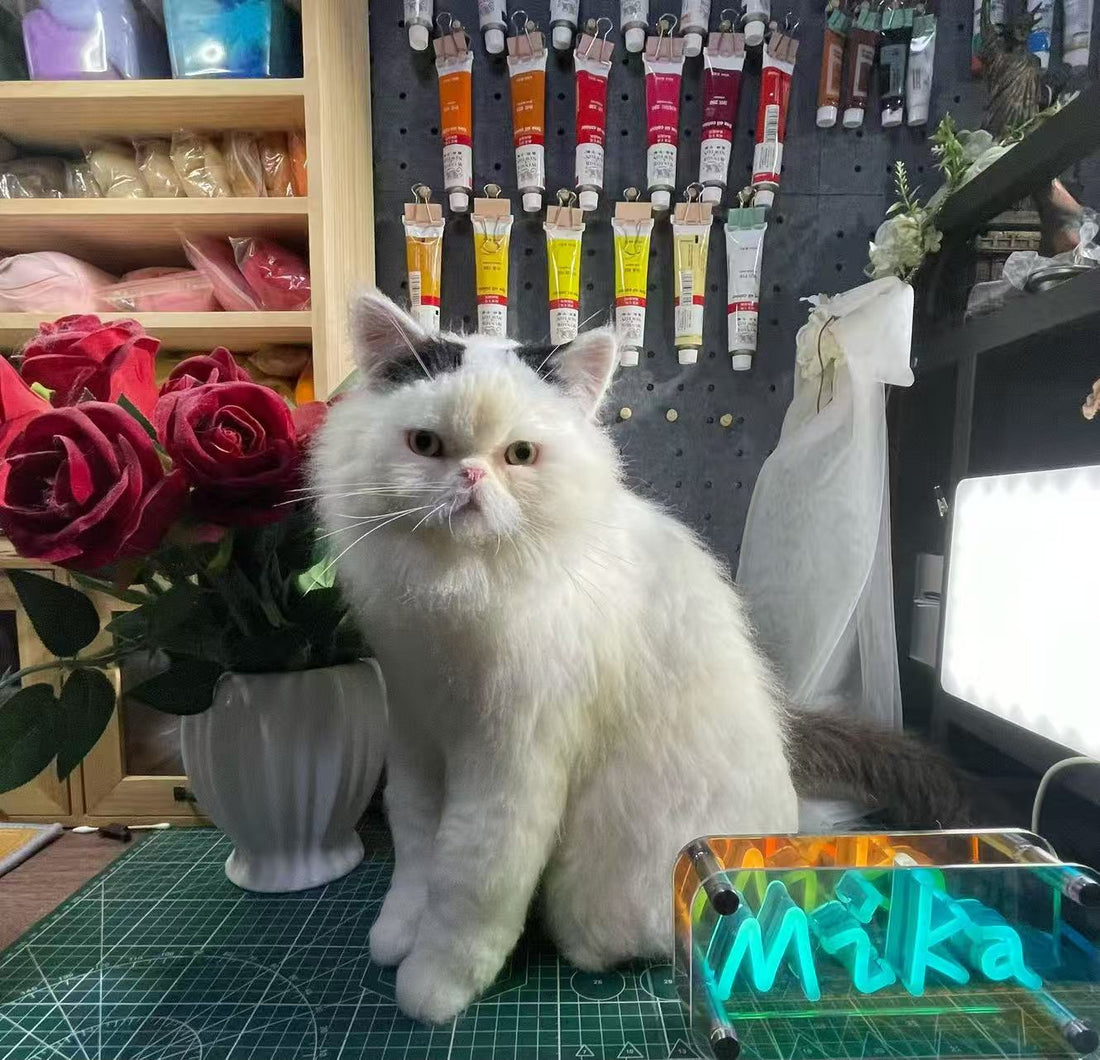 Custom Nearly Life-Size 3D Wool-Felt Pet Sculpture – Full Body Cats & Dogs | LumoPaws